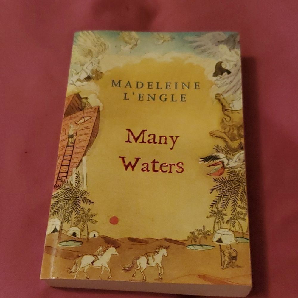 Many Waters Book Madeleine L'Engle